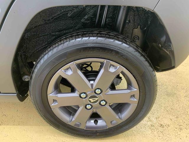 タフトＧ　ダーククロムベンチャー　保証付き（静岡県）の中古車