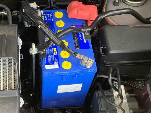 キャストスタイルＧ　ターボ　ＶＳ　ＳＡIII　タイヤ新品　保証付きまごころ保証１年付き　記録簿　取扱説明書　ナビ　ドラレコ　ＥＴＣ　バックカメラ　衝突被害軽減システム　スマートキー　オートマチックハイビーム　アルミホイール　ターボ　レーンアシスト　ワンオーナー（静岡県）の中古車