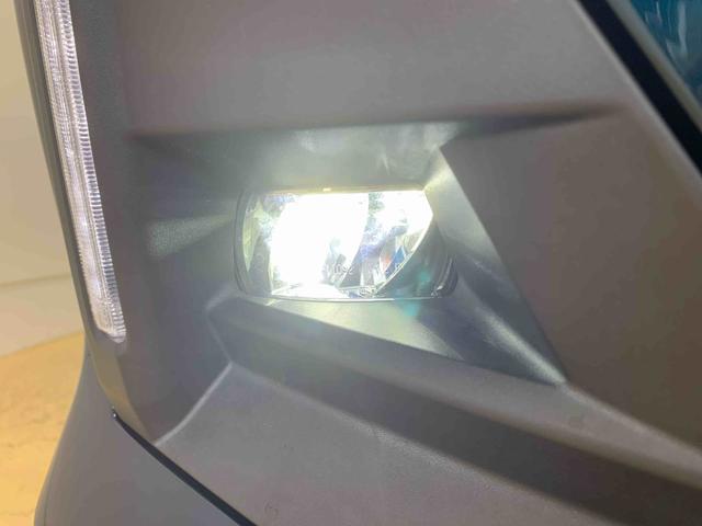 ロッキーG タイヤ新品 保証付きナビ ドラレコ ETC バックカメラ(静岡県)の中古車