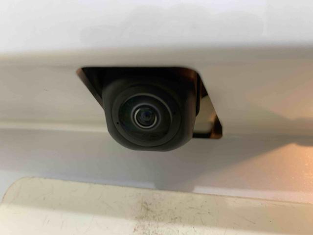 タフトGターボ タイヤ新品 保証付きナビ ETC バックカメラ(静岡県)の中古車