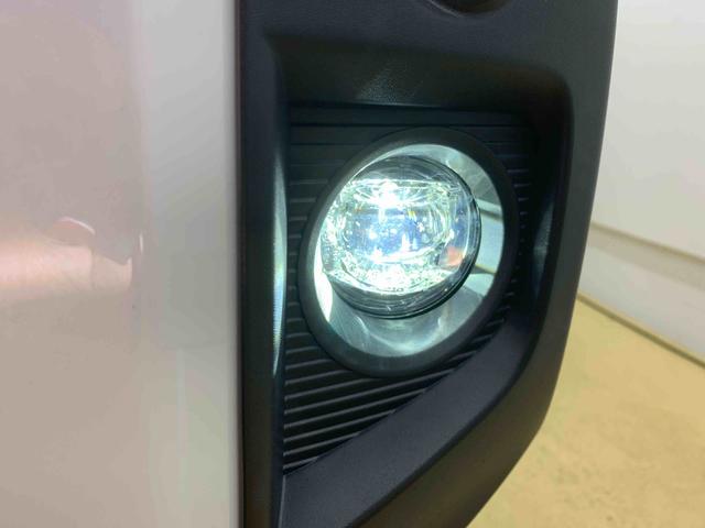 タフトGターボ タイヤ新品 保証付きナビ ETC バックカメラ(静岡県)の中古車