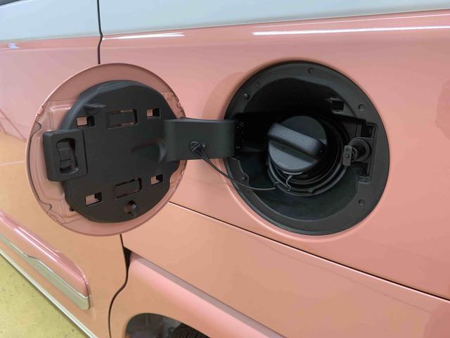 ムーヴキャンバスストライプスG 保証付き(静岡県)の中古車