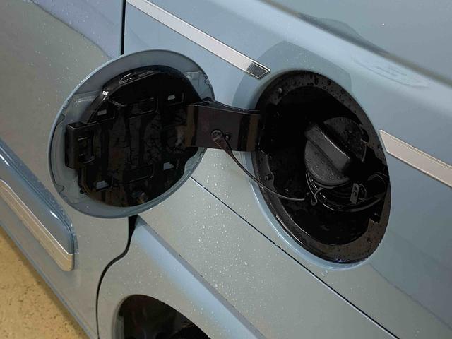 ムーヴキャンバスセオリーＧ　保証付き（静岡県）の中古車