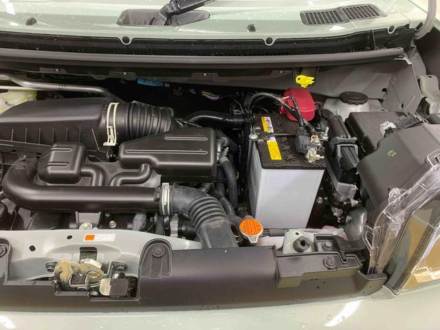 タフトＧ　ダーククロムベンチャー　保証付き（静岡県）の中古車