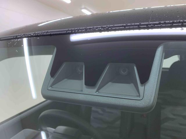 タフトＧ　ダーククロムベンチャー　保証付き（静岡県）の中古車