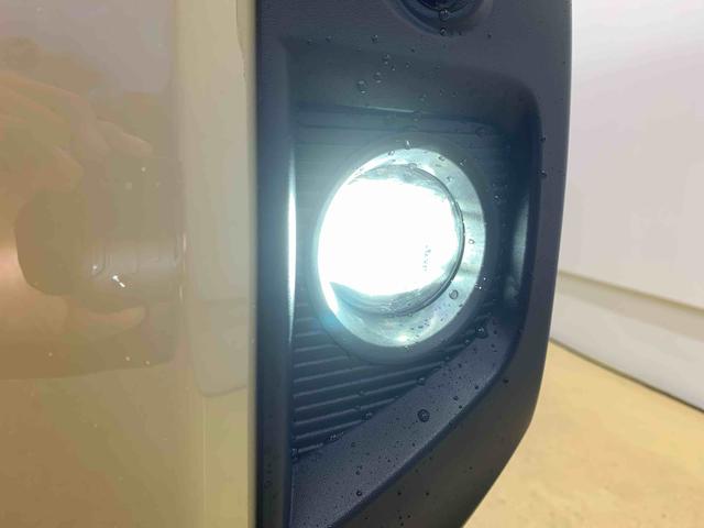 タフトＧターボ　ダーククロムベンチャー　保証付き（静岡県）の中古車