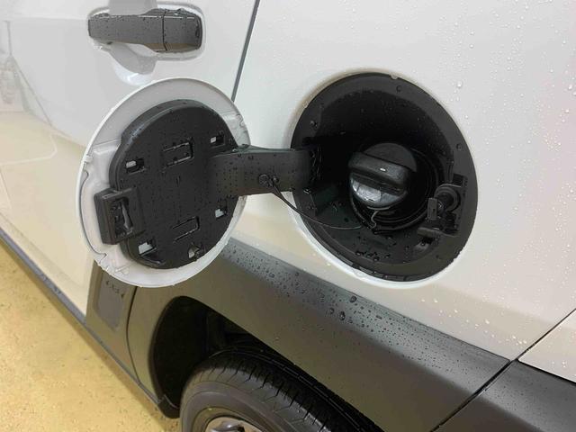 タフトＧターボ　ダーククロムベンチャー　バックカメラ　保証付きディスプレイオーディオ（静岡県）の中古車