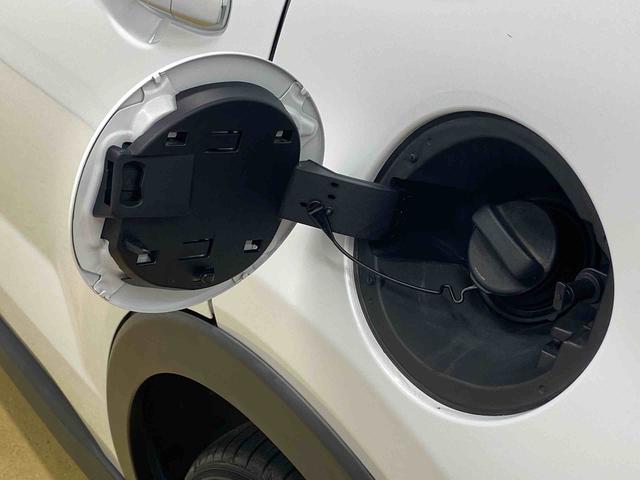 ロッキーＧ　ナビ　保証付きドラレコ　ＥＴＣ　バックカメラ（静岡県）の中古車