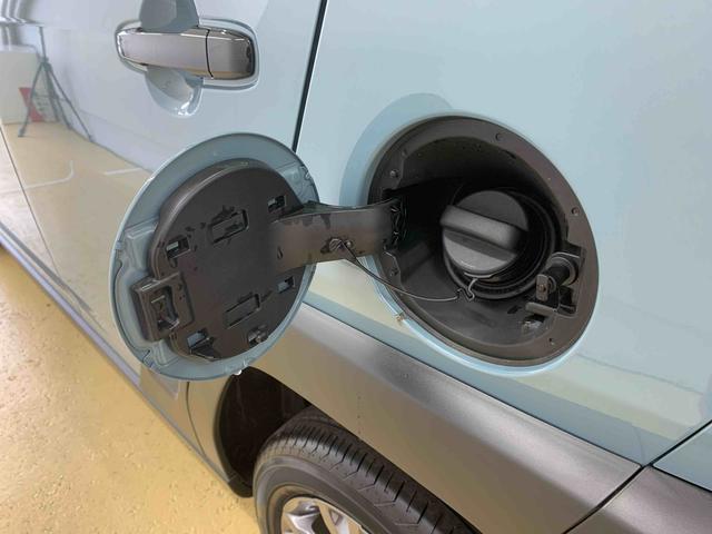 タフトＧ　ダーククロムベンチャー　保証付き（静岡県）の中古車