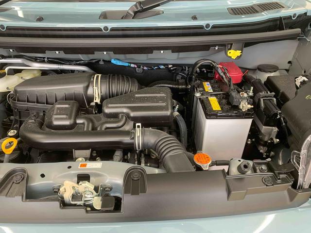 タフトＧ　ダーククロムベンチャー　保証付き（静岡県）の中古車