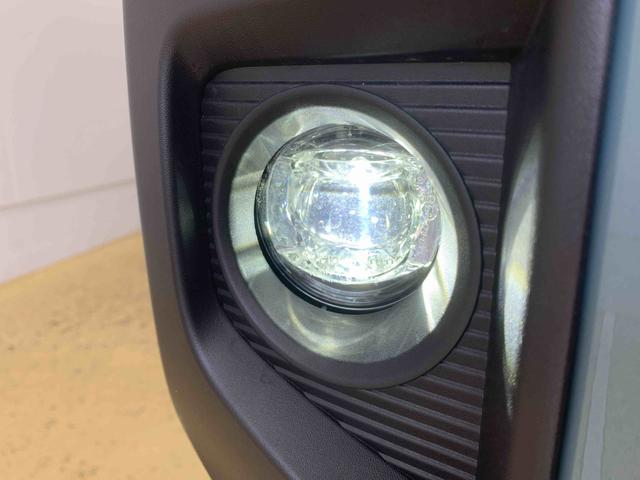 タフトＧ　ダーククロムベンチャー　保証付き（静岡県）の中古車