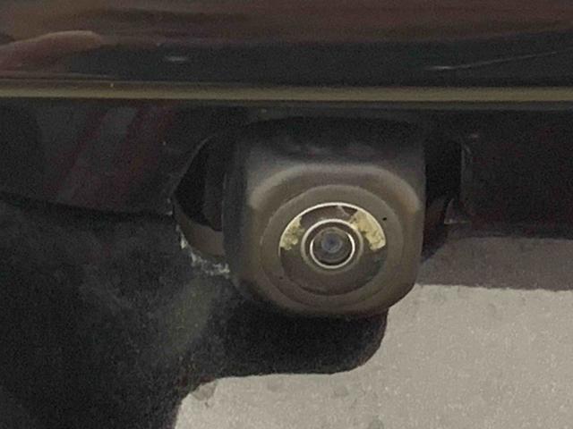 ロッキーＧ　ナビ　バックカメラ　保証付き（静岡県）の中古車