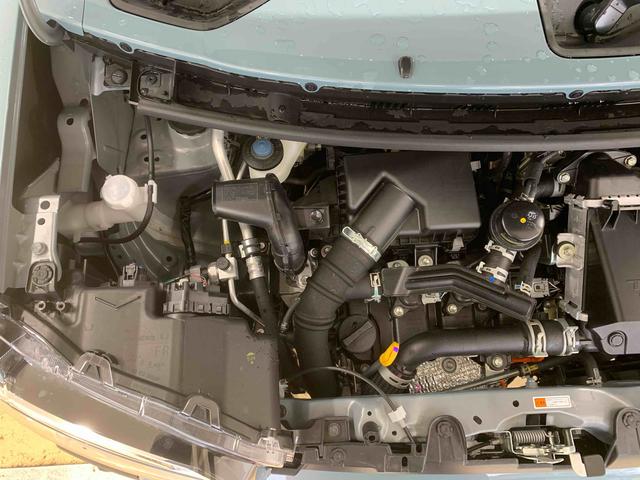 タフトＧターボ　ダーククロムベンチャー　保証付きまごころ保証１年付き　記録簿　取扱説明書　衝突被害軽減システム　スマートキー　オートマチックハイビーム　サンルーフ　アルミホイール　ターボ　レーンアシスト　禁煙車　ワンオーナー　エアバッグ　エアコン（静岡県）の中古車