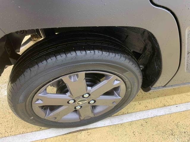 タフトＧターボ　ダーククロムベンチャー　保証付き（静岡県）の中古車