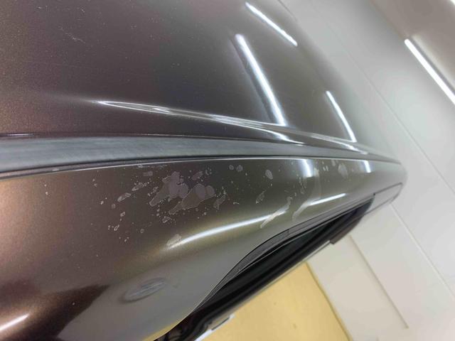 タントＸ　ＳＡII　ナビ　保証付きバックカメラ　ルーフも側クリア剥がれ（静岡県）の中古車