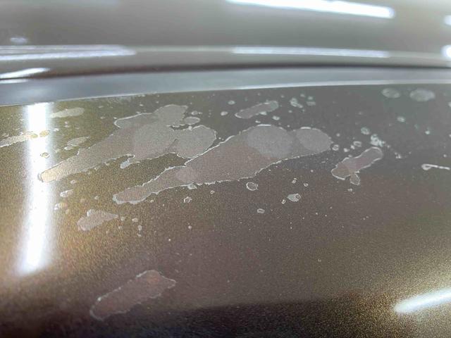 タントＸ　ＳＡII　ナビ　保証付きバックカメラ　ルーフも側クリア剥がれ（静岡県）の中古車