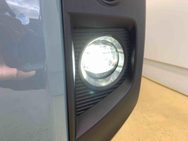 タフトＧ　ダーククロムベンチャー　保証付き（静岡県）の中古車