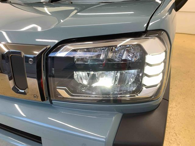 タフトＧ　ダーククロムベンチャー　保証付き（静岡県）の中古車