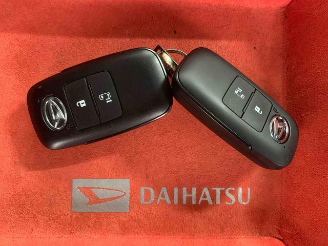 トールＸ　ディスプレイオーディオ　バックカメラ　保証付き（静岡県）の中古車