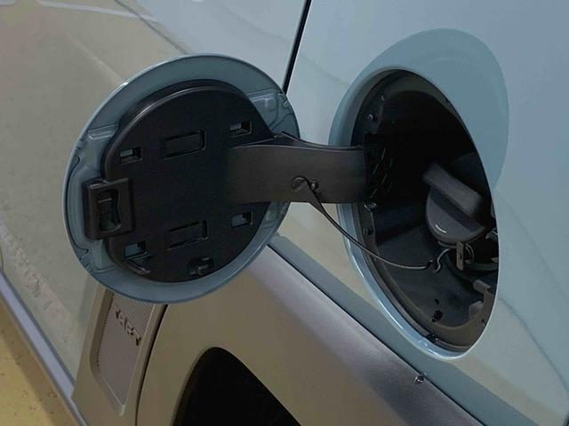 タフトＧ　ダーククロムベンチャー　保証付き（静岡県）の中古車