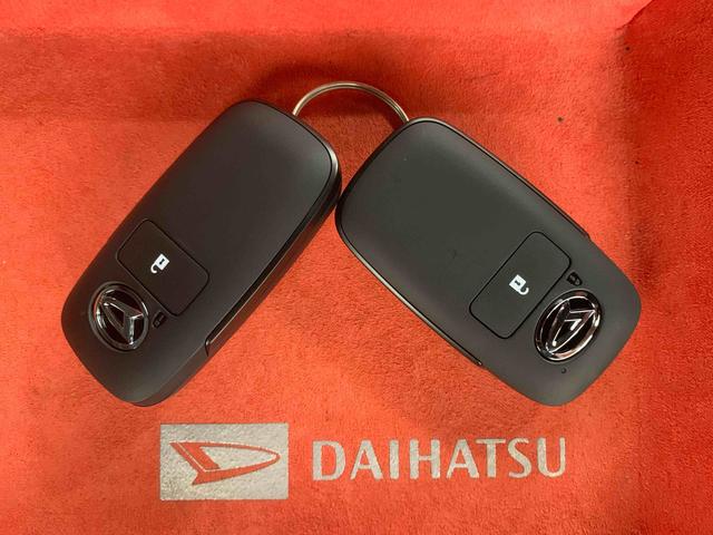 タフトＧ　ダーククロムベンチャー　保証付き（静岡県）の中古車