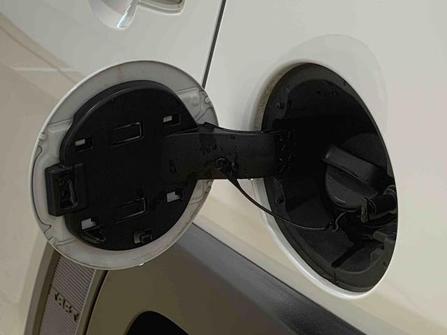 タフトGターボ ナビ バックカメラドラレコ ETC バックカメラ(静岡県)の中古車