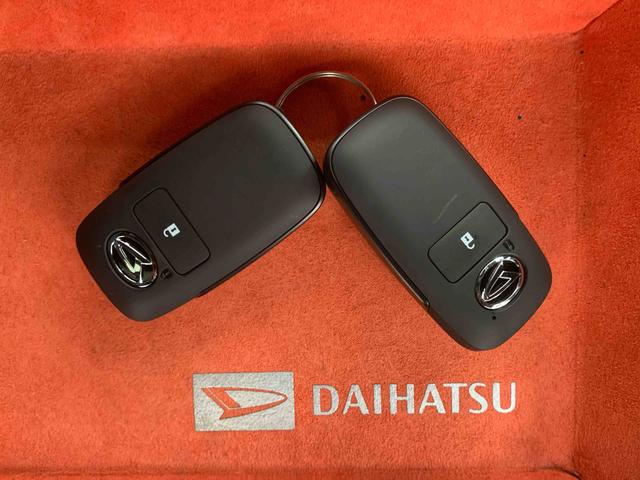 タフトＧ　ダーククロムベンチャー　保証付き（静岡県）の中古車