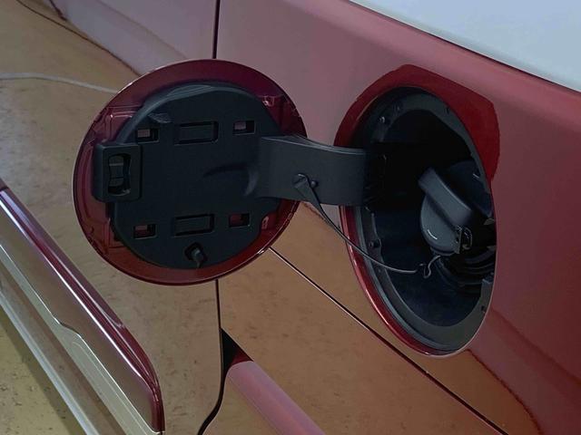 ムーヴキャンバスストライプスG 両側電動スライド(静岡県)の中古車