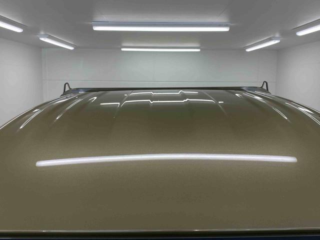 ハイゼットトラックジャンボエクストラ（静岡県）の中古車