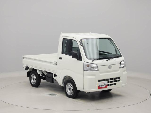 ハイゼットトラックスタンダード（愛知県）の中古車