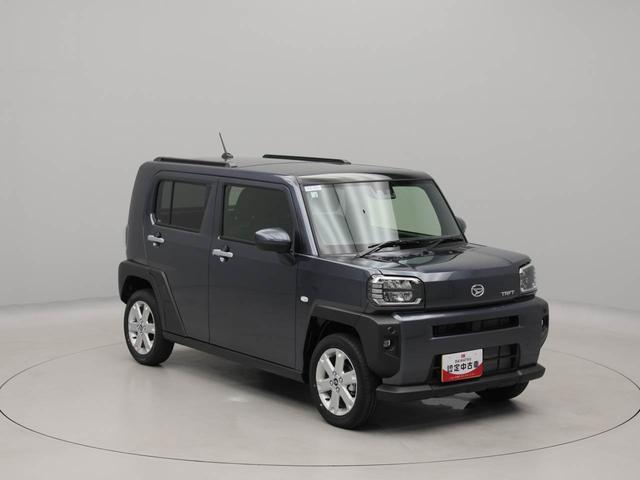 タフトG(愛知県)の中古車