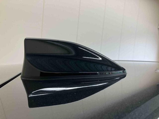ロッキープレミアムＧ（三重県）の中古車