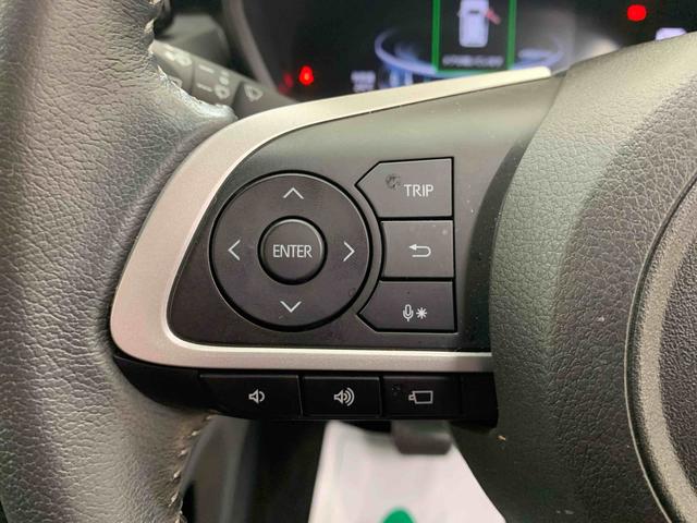 ロッキープレミアム　タイヤ新品保証付きナビ　ドラレコ　ＥＴＣ　バックカメラ（静岡県）の中古車