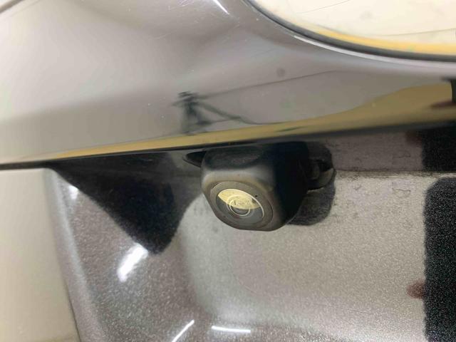 ロッキープレミアム　タイヤ新品保証付きナビ　ドラレコ　ＥＴＣ　バックカメラ（静岡県）の中古車