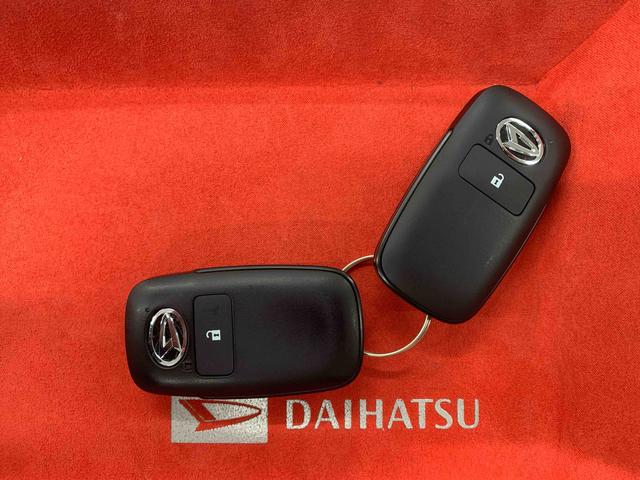ロッキープレミアム　タイヤ新品保証付きナビ　ドラレコ　ＥＴＣ　バックカメラ（静岡県）の中古車