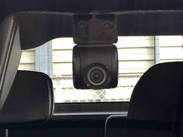 タフトＧ４ＷＤ　スカイルーフ　プッシュスタート　スマートキー　オートライト　オートエアコン　電動パーキングブレーキ　衝突被害軽減システム　横滑り防止機能　アイドリングストップ　ＡＢＳ（長野県）の中古車