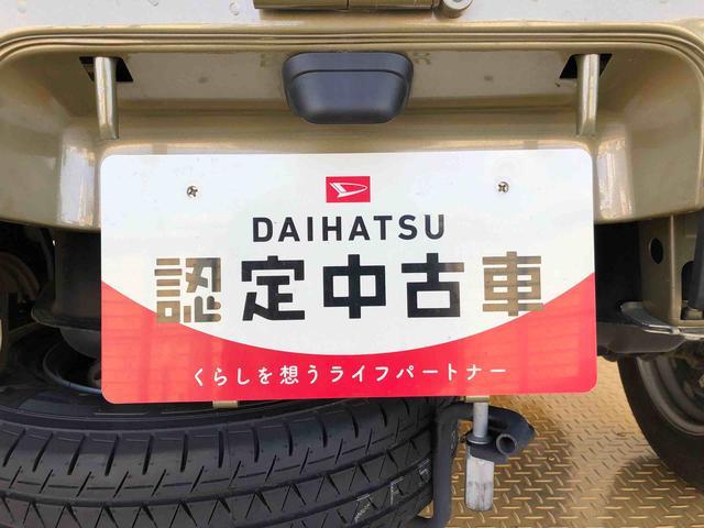 ハイゼットトラックスタンダード４ＷＤ　マニュアルエアコン　パワステ　タイミングチェーン　ラジオデッキ　手動ドアミラー　手動ウィンドウ　衝突被害軽減システム　横滑り防止機能　アイドリングストップ　ＡＢＳ（長野県）の中古車
