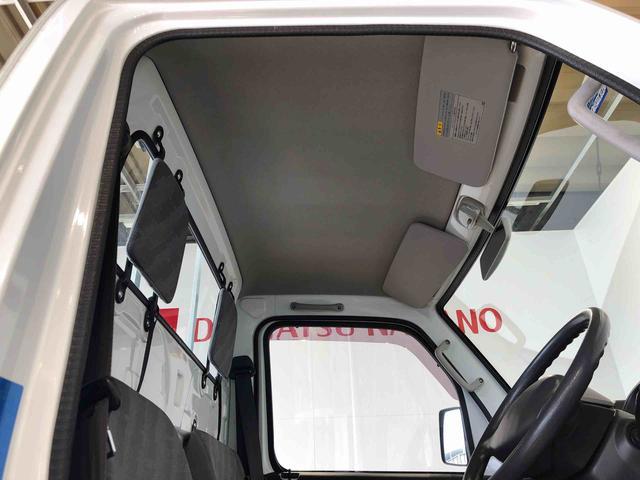 キャリイトラックＫＣ４ＷＤ　ＡＭ／ＦＭラジオ　テールゲートチェーン　手動ドアミラー（長野県）の中古車