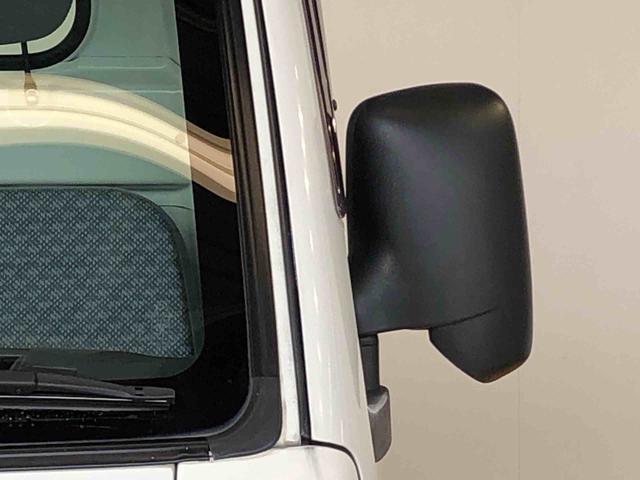 ハイゼットトラック農用スペシャル４ＷＤ　タイミングチェーン　ラジオデッキ　手動ドアミラー　手動ウィンドウ（長野県）の中古車