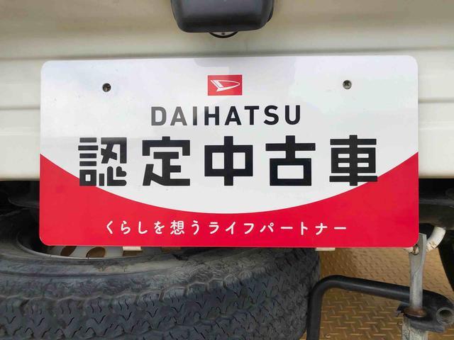 ハイゼットトラック農用スペシャル４ＷＤ　タイミングチェーン　ラジオデッキ　手動ドアミラー　手動ウィンドウ（長野県）の中古車