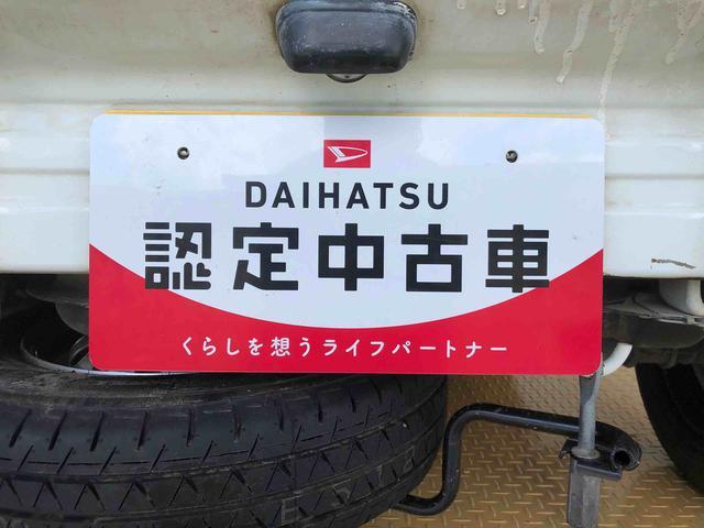 ハイゼットトラックエアコン・パワステ　スペシャル４ＷＤ　マニュアルエアコン　パワステ　手動ドアミラー　ラジオ（長野県）の中古車