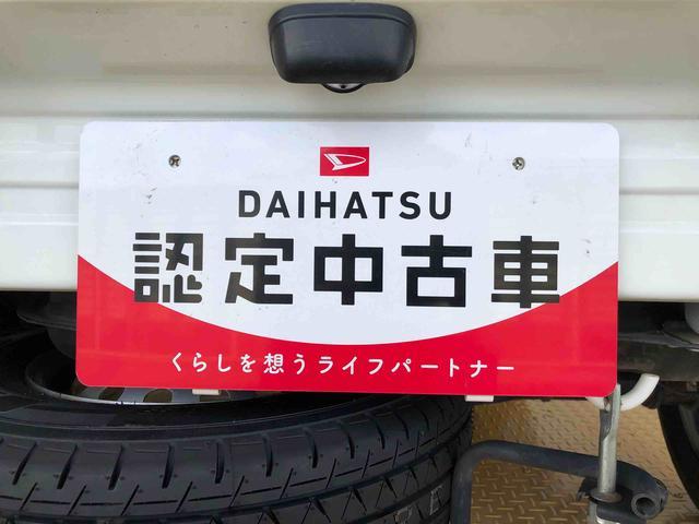 ハイゼットトラック農用スペシャル４ＷＤ　マニュアルエアコン　手動ドアミラー　ＡＭ／ＦＭラジオ　作業灯（長野県）の中古車