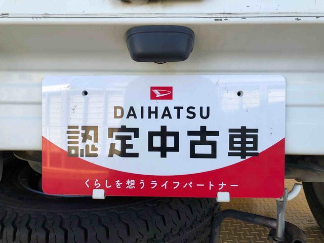 ハイゼットトラック農用スペシャル４ＷＤ　５ＭＴ　タイミングチェーン　ラジオデッキ　手動ドアミラー　手動ウィンドウ　ＡＢＳ（長野県）の中古車