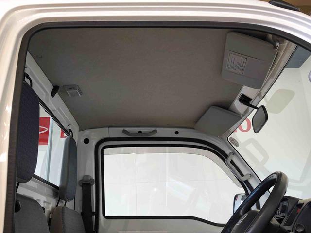 アクティトラックＳＤＸ４ＷＤ　パワステ　ラジオデッキ　手動ドアミラー　手動ウィンドウ（長野県）の中古車