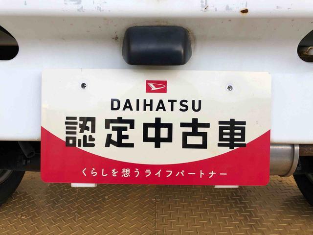 アクティトラックＳＤＸ４ＷＤ　パワステ　ラジオデッキ　手動ドアミラー　手動ウィンドウ（長野県）の中古車