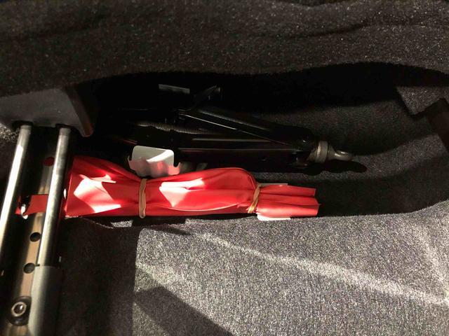 ロッキープレミアムＧ　ＨＥＶ２ＷＤ　クルーズコントロール　衝突被害軽減システム　横滑り防止機能　シートヒーター　オートライト　オートエアコン　プッシュスタート　スマートキー　アイドリングストップ　電動格納ドアミラー　ＡＢＳ（長野県）の中古車