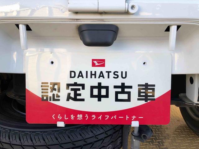 ハイゼットトラックスタンダード　農用スペシャル４ＷＤ　マニュアルエアコン　パワステ　オートライト　作業灯　リヤ４枚リーフスプリング　ラジオデッキ　衝突被害軽減システム　横滑り防止機能　アイドリングストップ　ＡＢＳ（長野県）の中古車