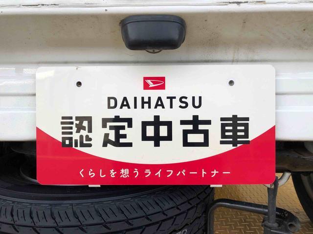 ハイゼットトラック農用スペシャル４ＷＤ　マニュアルエアコン　パワステ　作業灯　リヤ４枚リーフスプリング　スーパーデフロック　ラジオデッキ　手動ドアミラー　手動ウィンドウ（長野県）の中古車