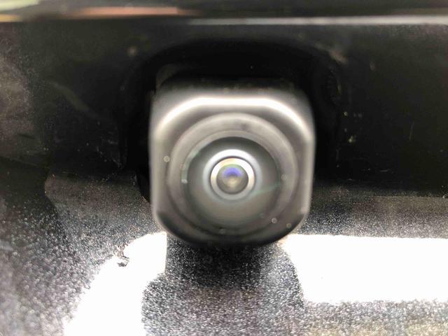 ロッキープレミアムＧ　ＨＥＶ２ＷＤ　クルーズコントロール　衝突被害軽減システム　横滑り防止機能　シートヒーター　オートライト　オートエアコン　プッシュスタート　スマートキー　電動格納ドアミラー　ＡＢＳ（長野県）の中古車