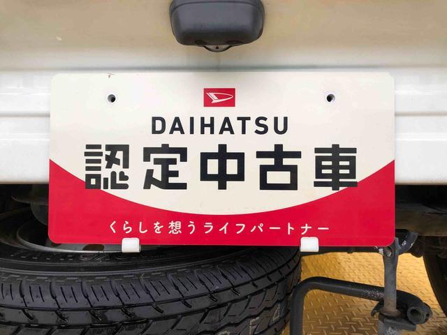 ハイゼットトラックエアコン・パワステ　スペシャル４ＷＤ　マニュアルエアコン　パワステ　手動ドアミラー　作業灯　ＡＢＳ（長野県）の中古車